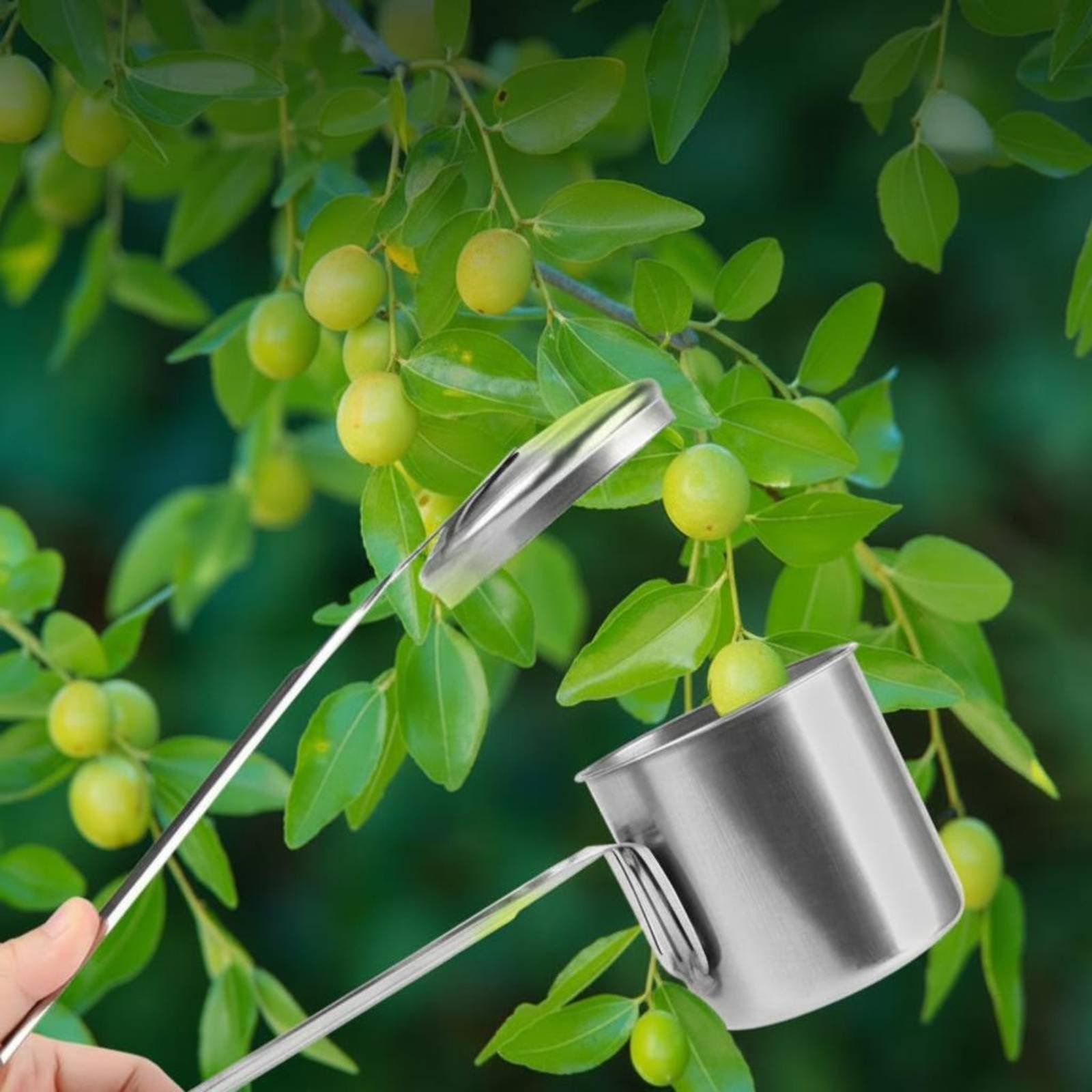 Gardening Tools And Uses - Łyżka do zbierania owoców ze stali