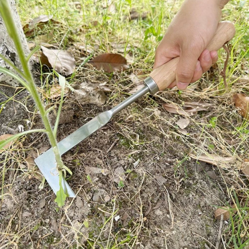 Narzędzie do usuwania chwastów – Gardening Hand Tools Yard recenzja i cena