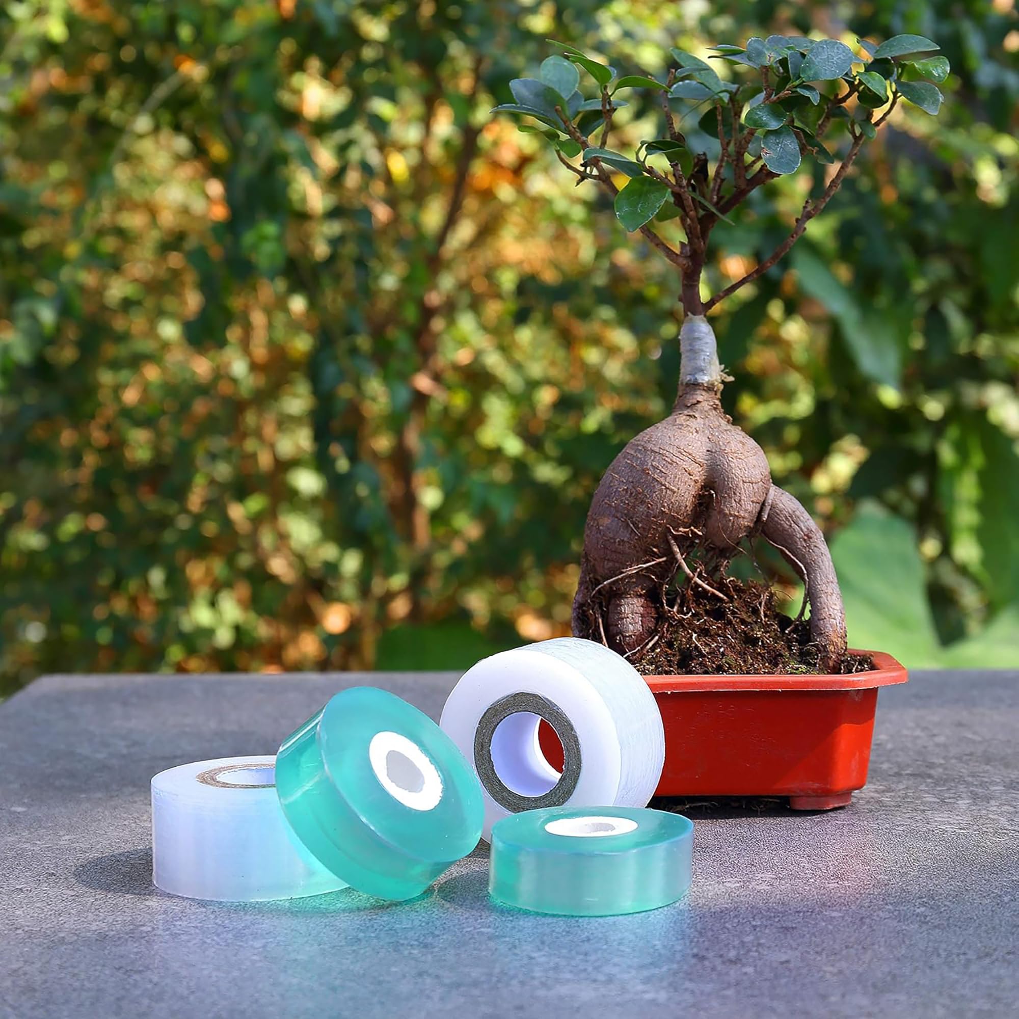 Łatwa w użyciu biodegradowalna – Gardening Tools And Uses recenzja i cena