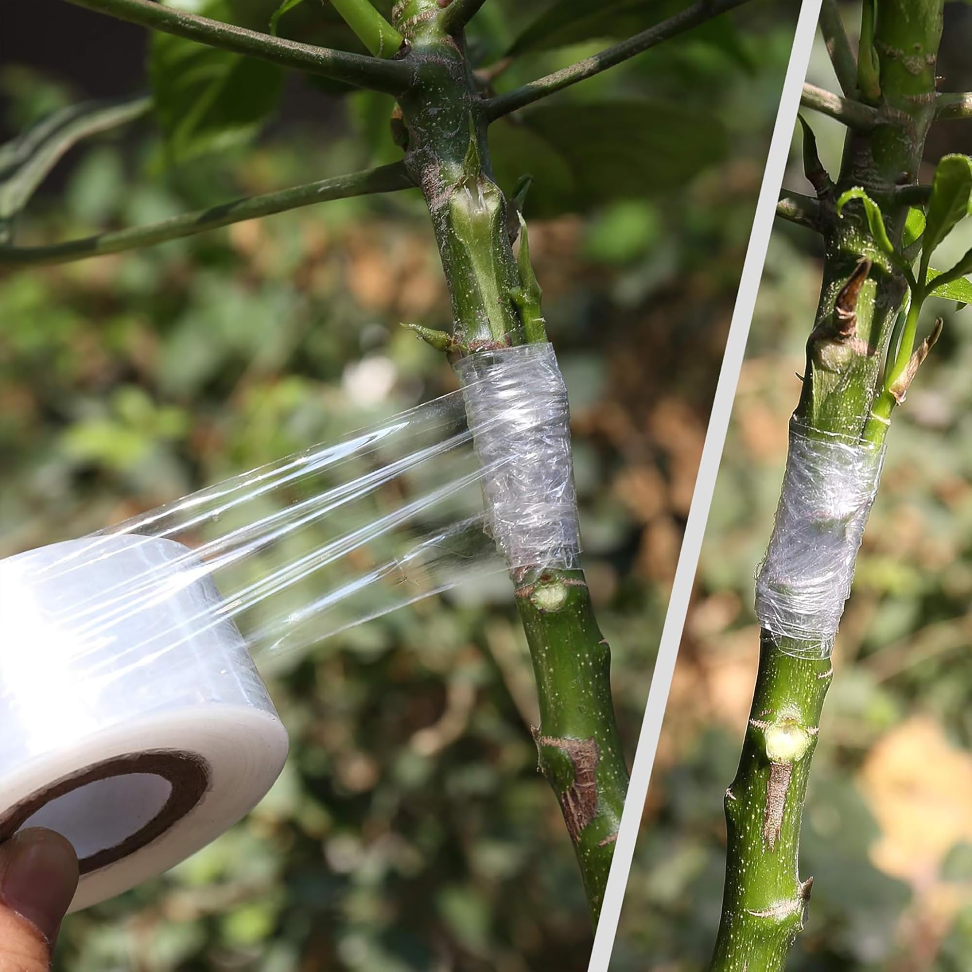 Łatwa w użyciu biodegradowalna – Gardening Tools And Uses recenzja i cena