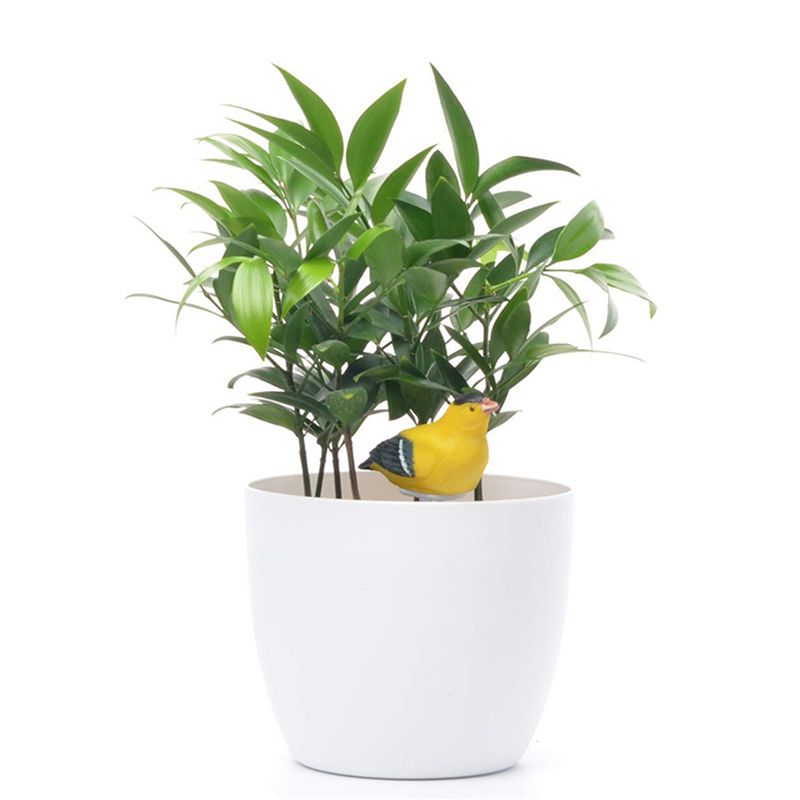Miernik wilgotności gleby 8X,  – Gardening Tools Yellow recenzja i cena