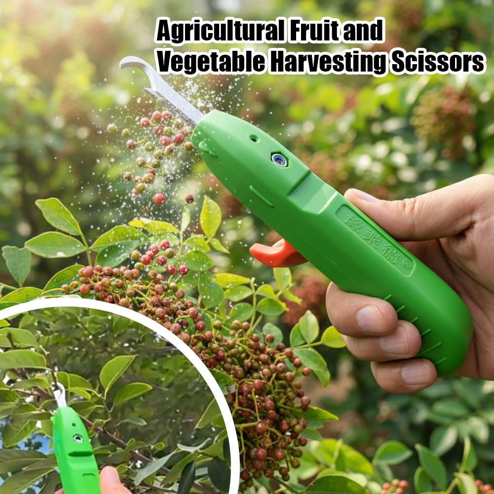 Nożyce do zbioru owoców i warz – Essential Gardening Tools recenzja i cena