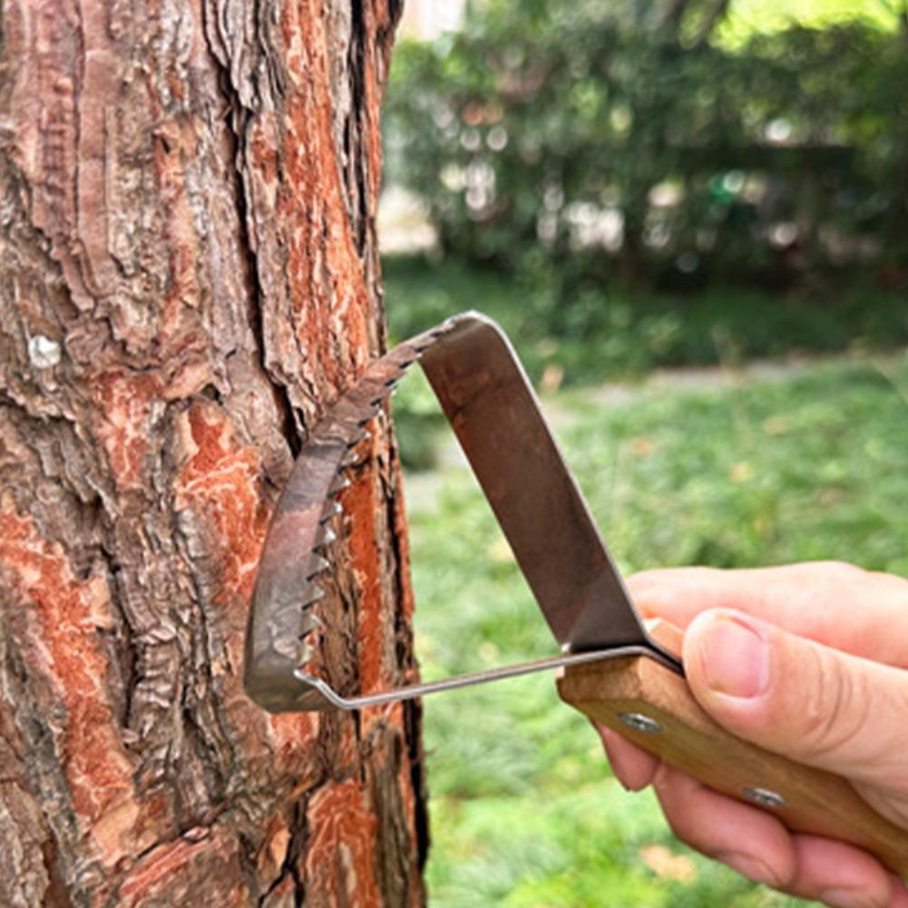 Ręczny skrobak do trawy, trójk – Gardening Hand Tools Yard recenzja i cena