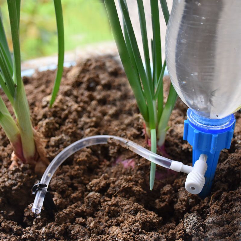 Nawadnianie kroplowe Automatyc – Root Watering Spike recenzja i cena