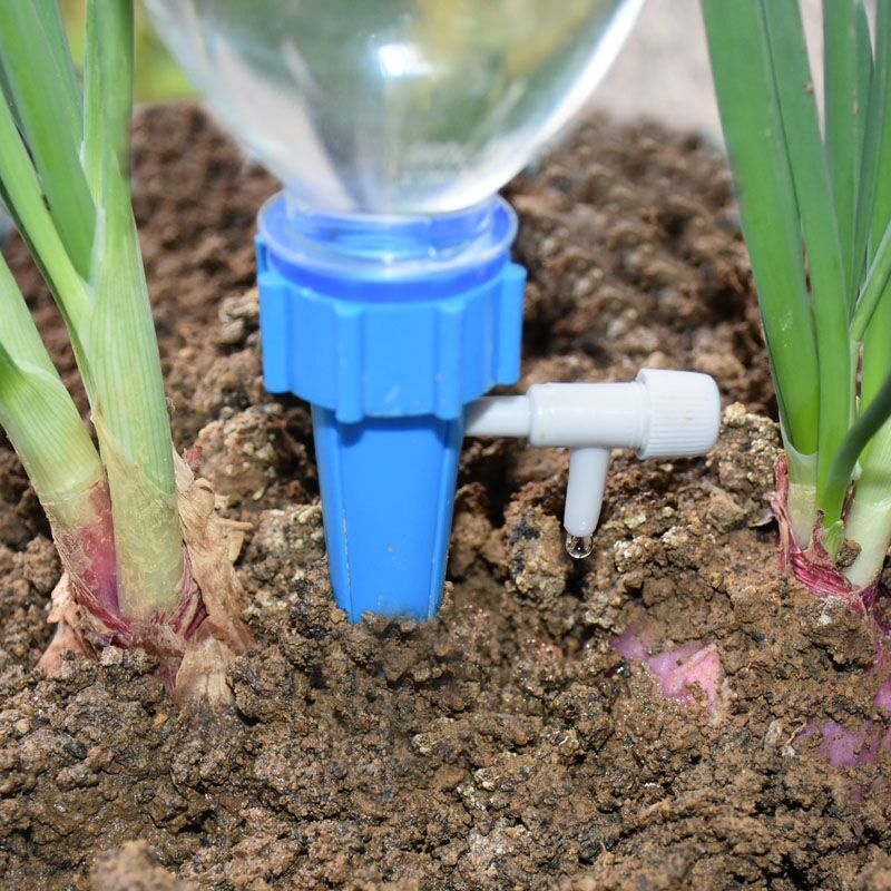Nawadnianie kroplowe Automatyc – Root Watering Spike recenzja i cena