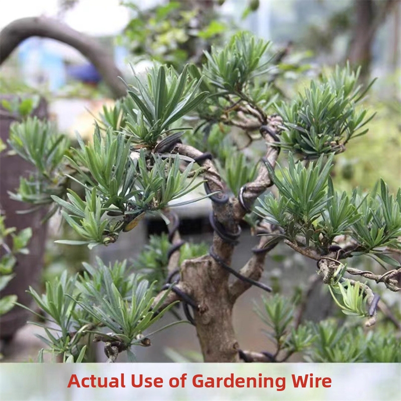 Druty do bonsai 1.5MM, alumini – Gardening Tools And Uses recenzja i cena