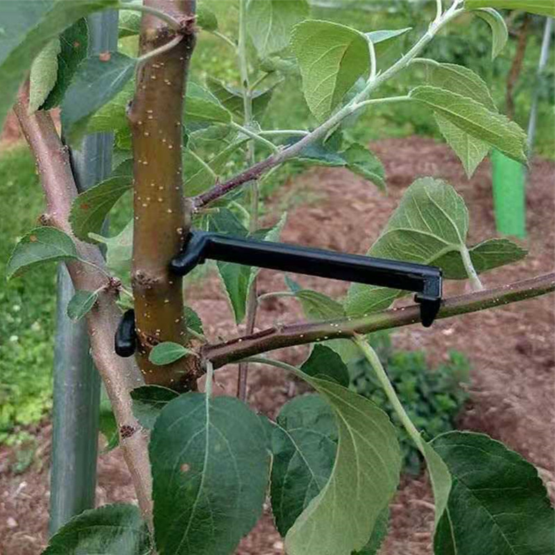 Ściągacz do gałęzi drzew owoco – Root Watering Spike recenzja i cena