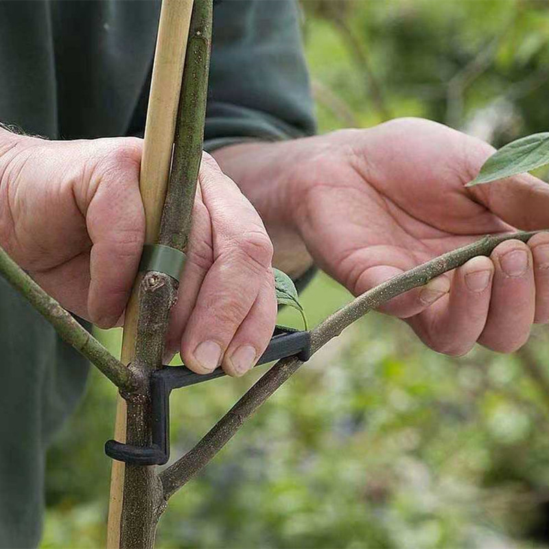 Ściągacz do gałęzi drzew owoco – Root Watering Spike recenzja i cena