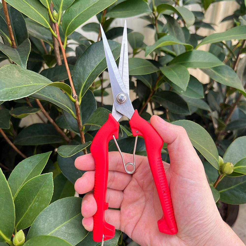 Profesjonalne nożyce ogrodowe  – Essential Gardening Tools recenzja i cena