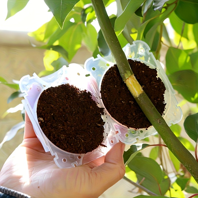 10-częściowy zestaw do rozmnaż – Gardening Tools And Uses recenzja i cena
