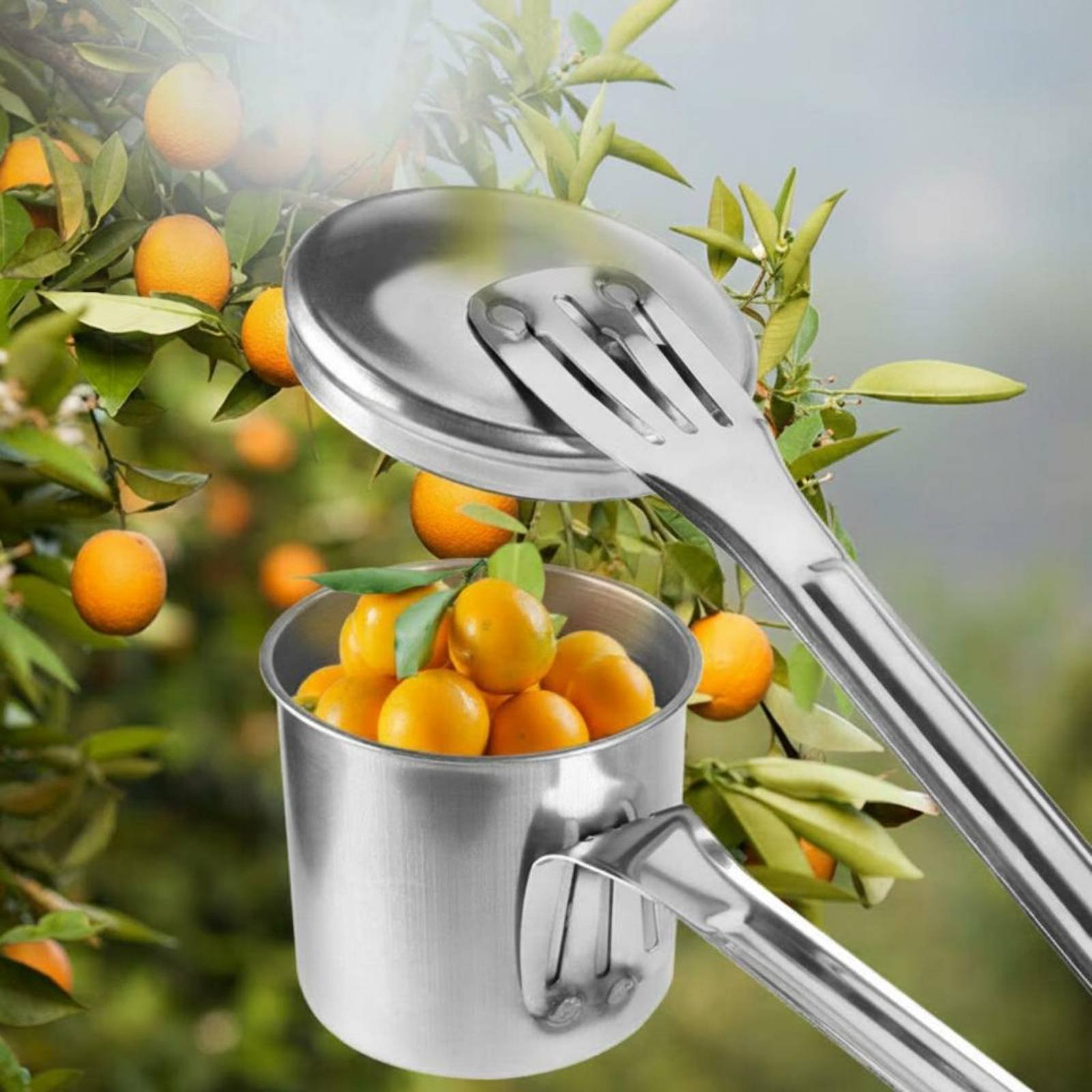Łyżka do zbierania owoców ze s – Gardening Tools And Uses recenzja i cena
