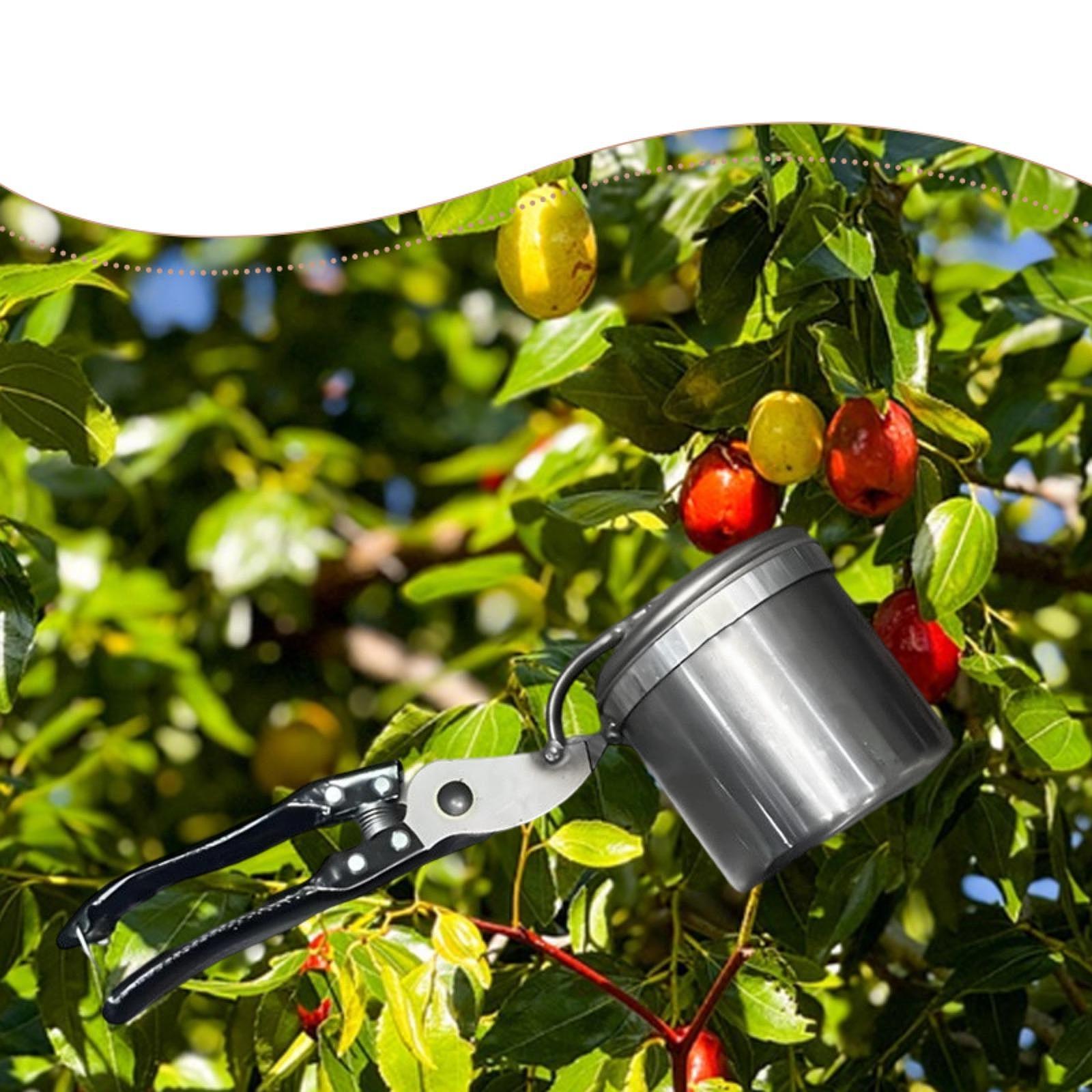 Zbierak do owoców, łatwe w uży – Gardening Tools And Uses recenzja i cena