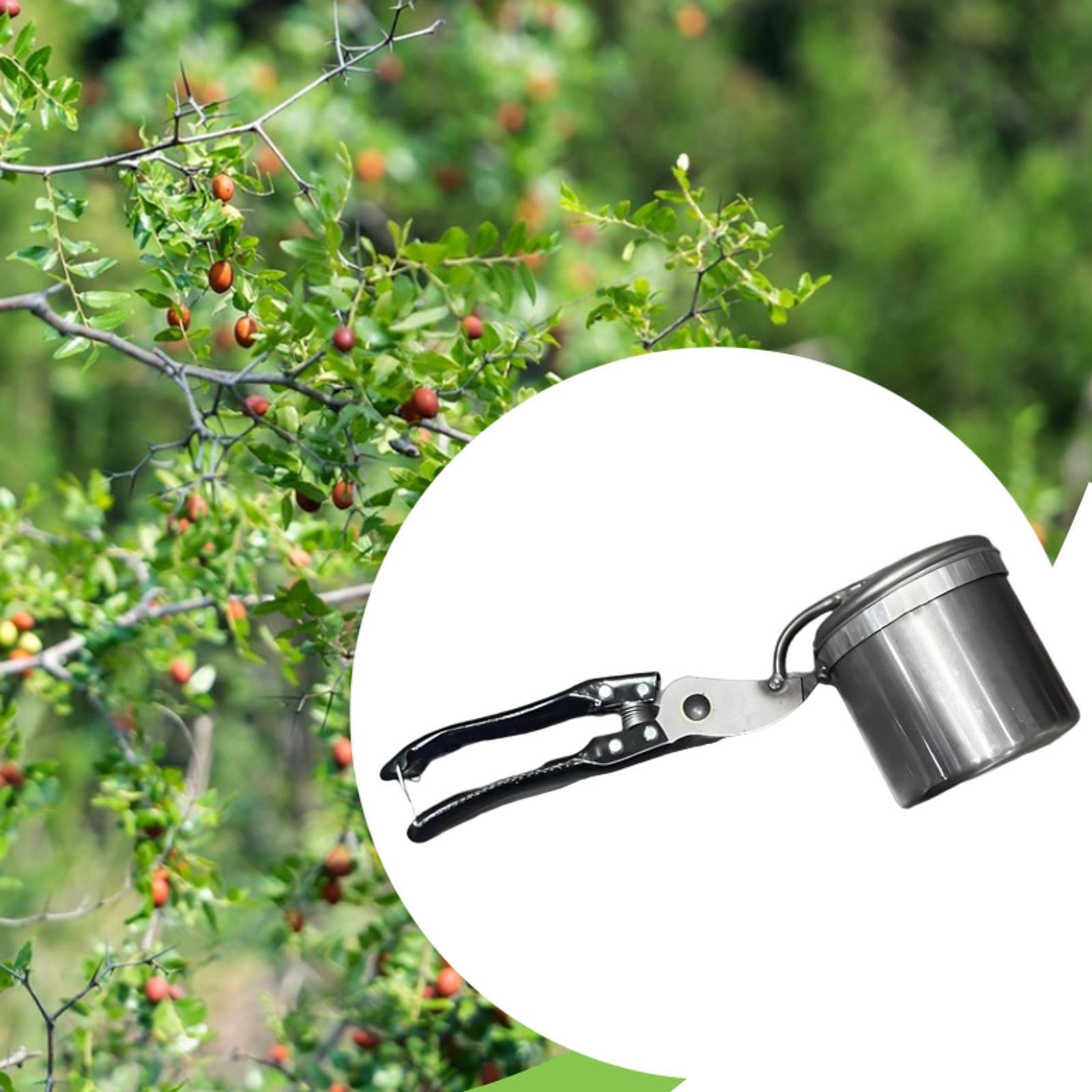 Zbierak do owoców, łatwe w uży – Gardening Tools And Uses recenzja i cena