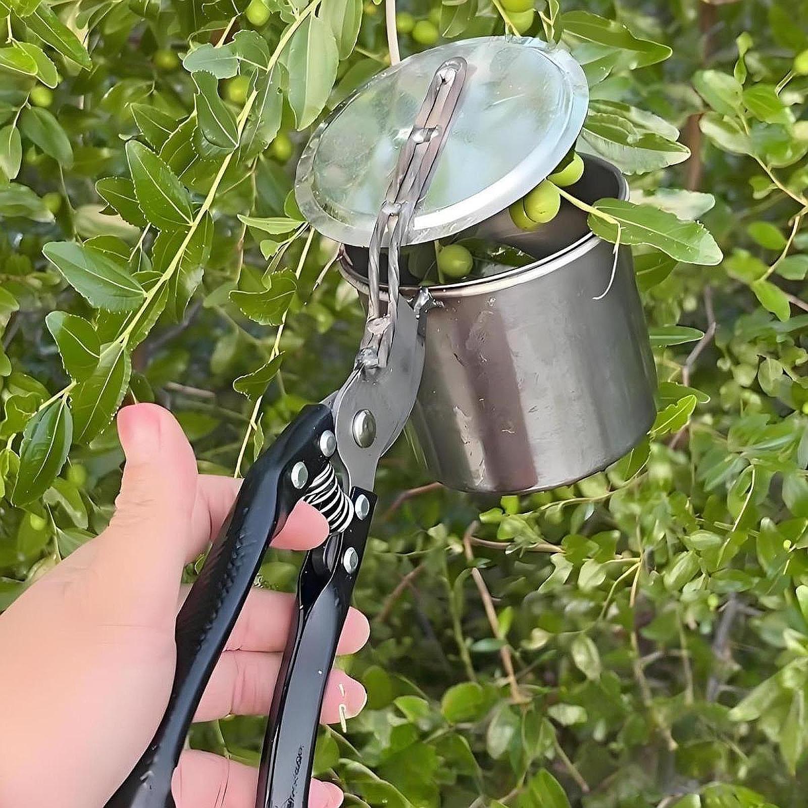 Zbierak do owoców, łatwe w uży – Gardening Tools And Uses recenzja i cena